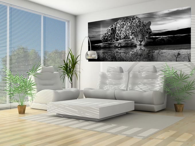 Leopard Feline Reflection Black Photo Wallcovering