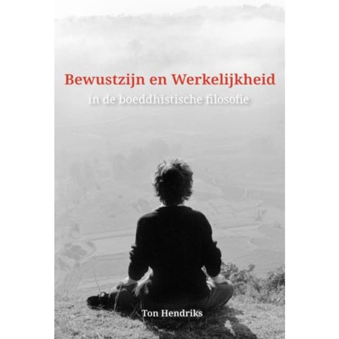 Bewustzijn En Werkelijkheid - Ton Hendriks