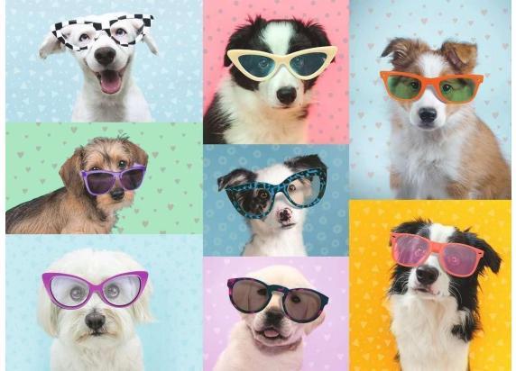 Ravensburger Grappige honden 150 stukjes XXL puzzel Kinderpuzzels