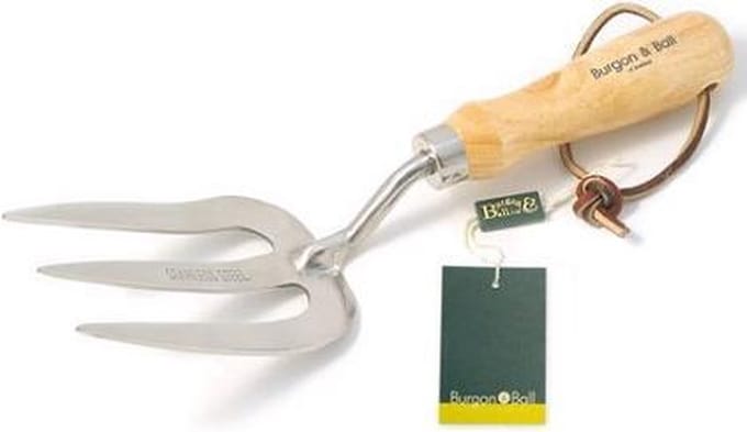 Burgon & Ball Onkruidsteker - Handrooivork - RHS-goedgekeurd