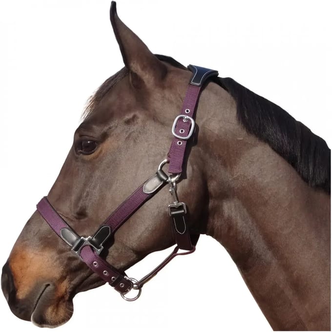Nylon/leren halster Flags&Cup
