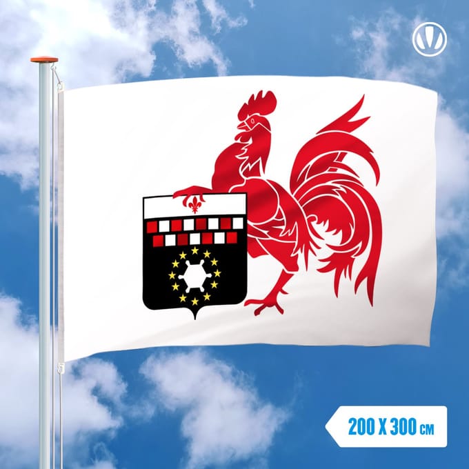 Vlag Charleroi 200x300cm