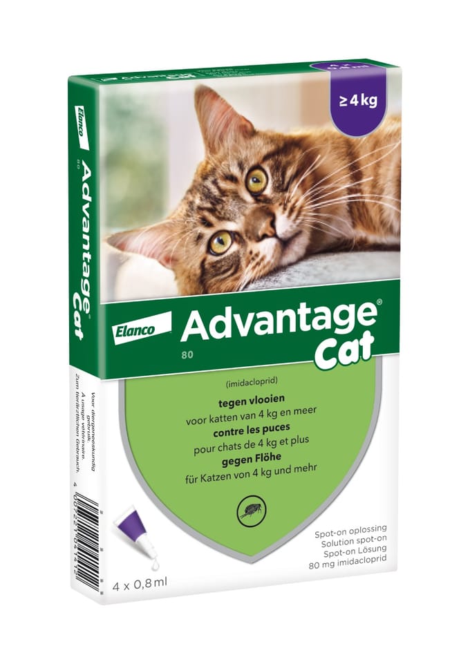 Advantage® 80 voor Katten vanaf 4 kg - Dubbelpak: 2 x 4 pipetten - BE