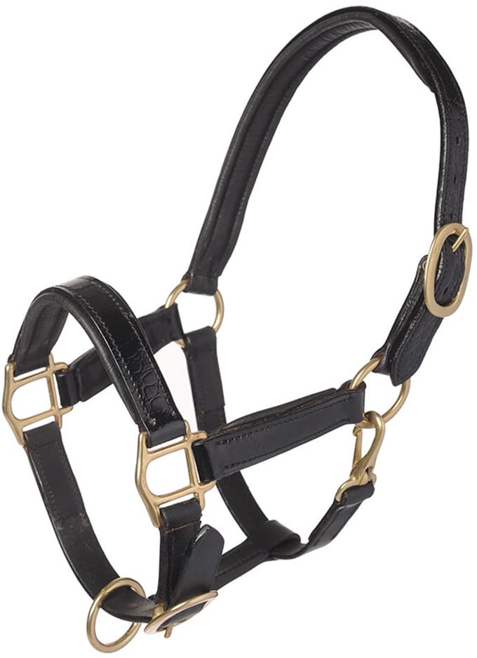 MHS Leren Halster “Croco” Mini Jaarling Zwart / Goud