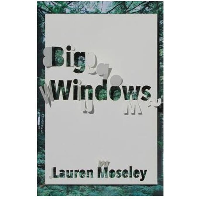 Big Windows - Lauren Moseley