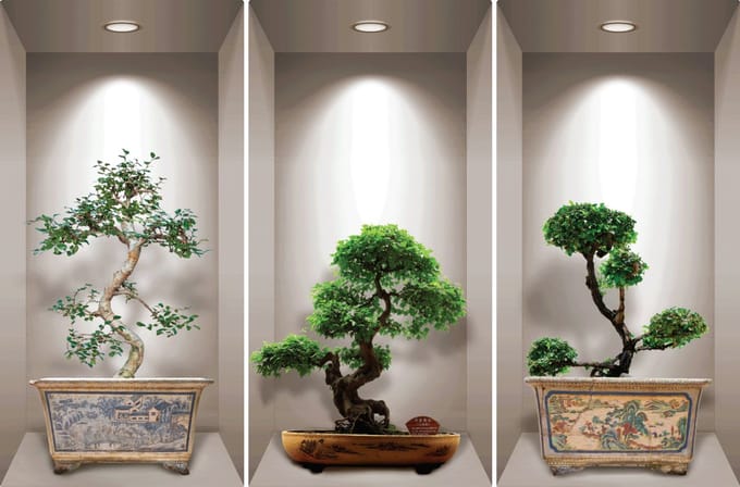 Sticker met 3D-effect van Japanse bonsaibomen, 60 x 90 cm
