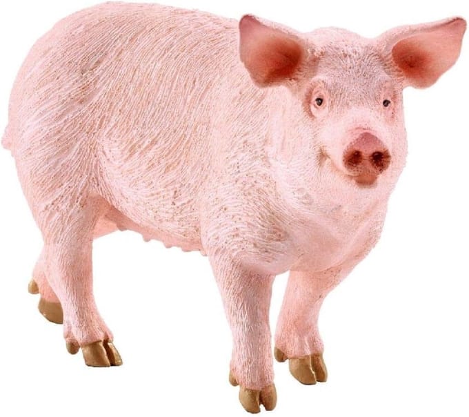 Schleich 17071 Varken Zeug