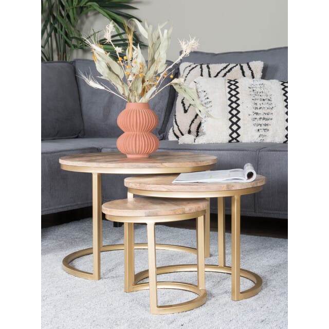 Home67 Salontafel set van 3 industriële salontafelset erjan goud