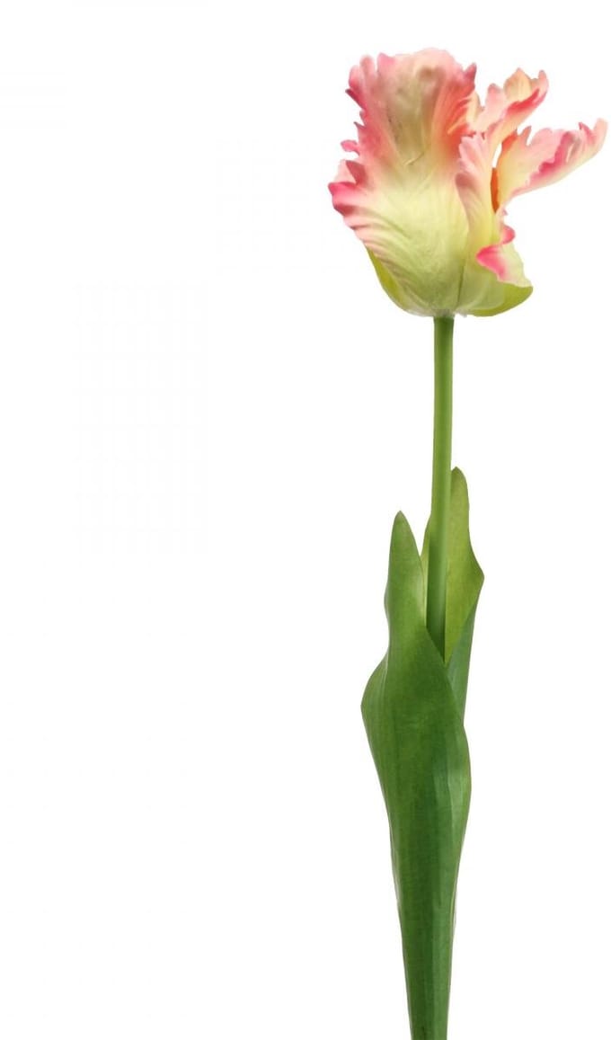 Kunstbloem, papegaaitulp roze, lentebloem 63cm