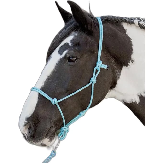 Touwhalster voor paard Harry's Horse