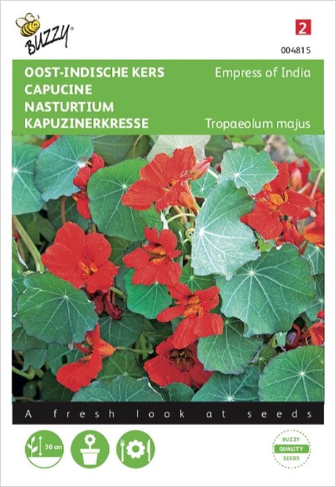 Oost-Indische kers Empress of India - Tropaeolum majus nanum