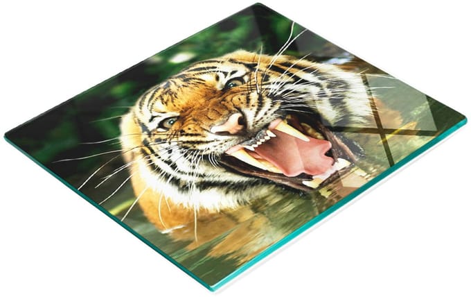 Gehard multifunctioneel decoratief bord van glas met afbeelding van een brullende tijger, 60x52 cm