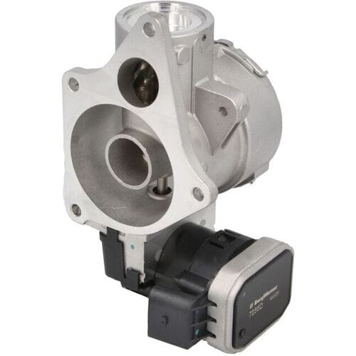 EGR-klep BORG WARNER 7256D