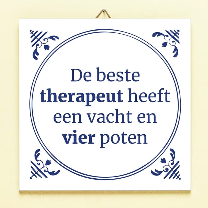 Tegeltje De Beste Therapeut van Ditverzinjeniet.nl
