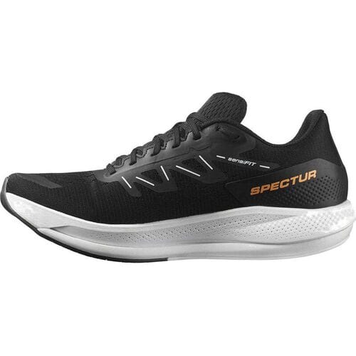 Salomon Spectur Hardloopschoenen Zwart EU 44 2/3 Man