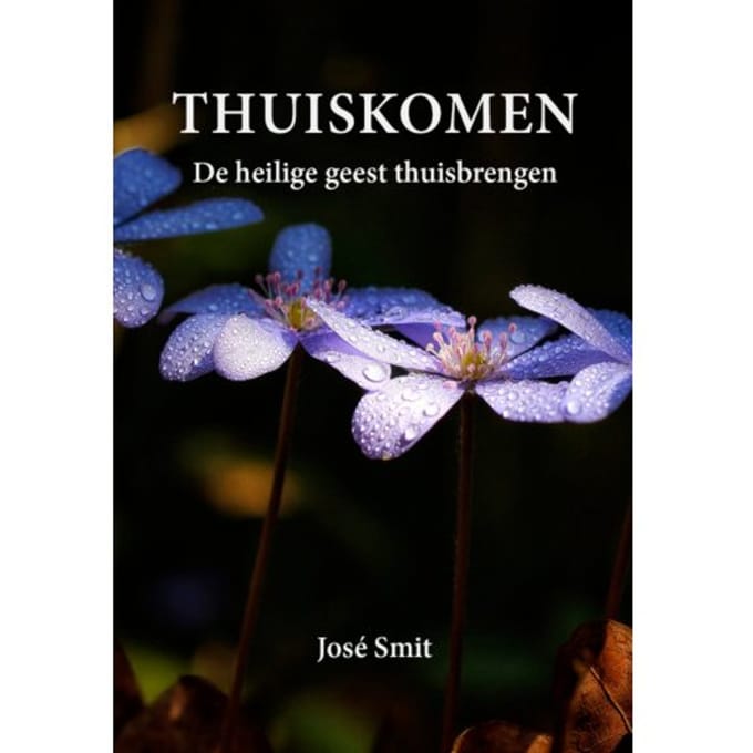 Thuiskomen - José Smit