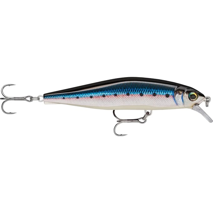 Lok Rapala Prec.Xtreme Air B.Sw 100 15,5g