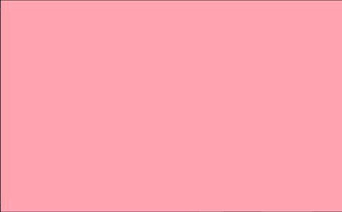 Vlag roze 70x100cm