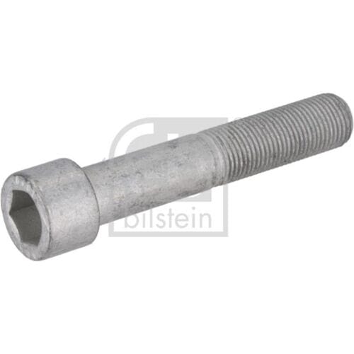 Schroef, remschijf FEBI BILSTEIN 195479