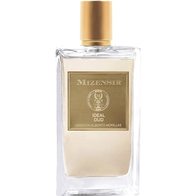 MIZENSIR Woody Eau de Parfum Spray Herenparfum Unisex 100 ml
