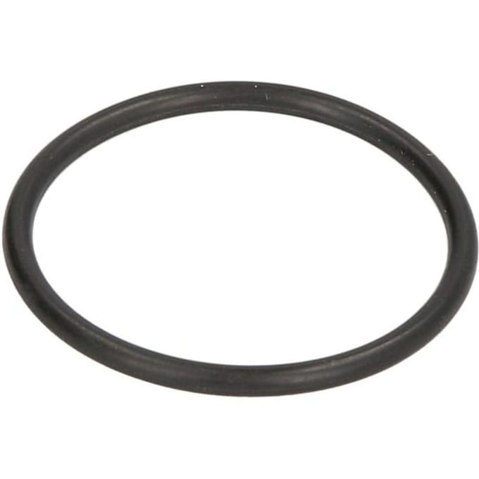 Versnellingsbak O-ring ZF 0634306323ZF