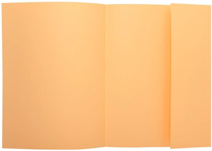 Exacompta 5x SUPER 210 - Pak van 50 dossiermappen met 1 klep - 24x32cm - Gems - 339002E