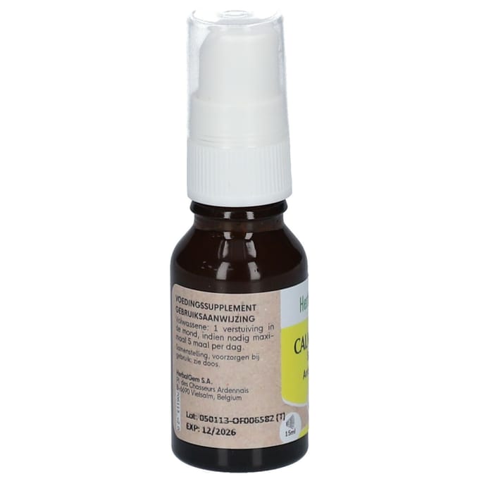 Strand Windscherm 6 meter dralon marine blauw/wit met houten stokken.