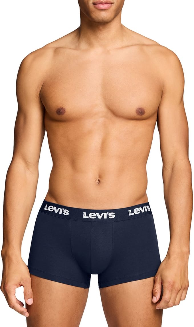 Pack of 4 men's Levis REPEAT LOGO TRUNK shorts underwear pants