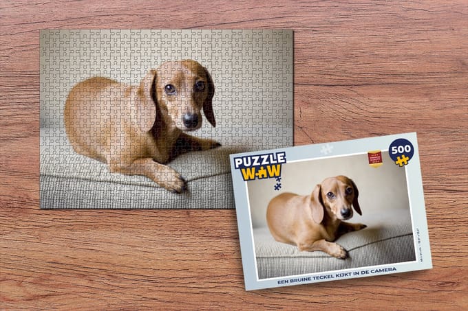 Puzzel Een bruine Teckel kijkt in de camera - Legpuzzel - Puzzel 500 stukjes