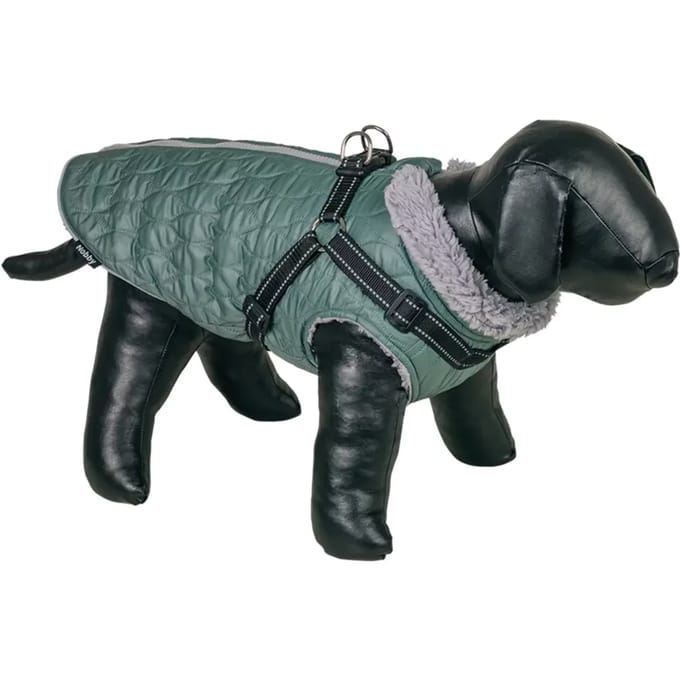 2 in 1 hondenjas Nobby Pet Polara