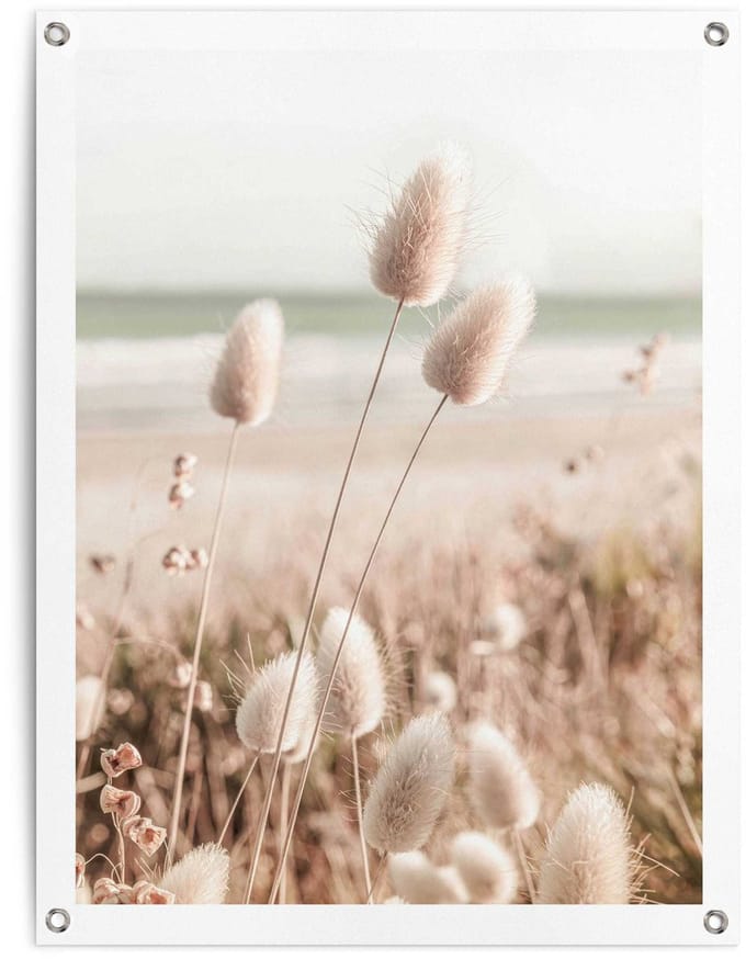 Tuinposter Grasses - 80 x 60 - Canvas - REINDERS