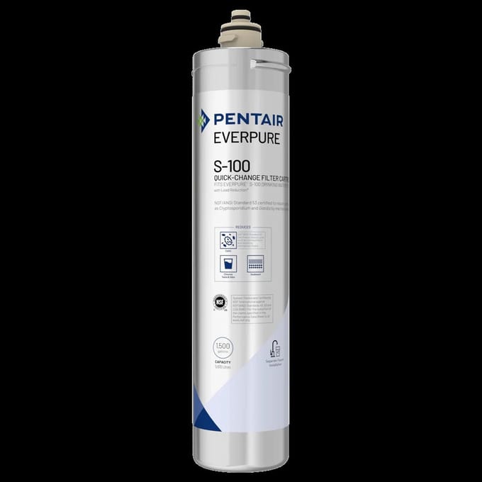Everpure Waterfilter S-100 / EV9601-04