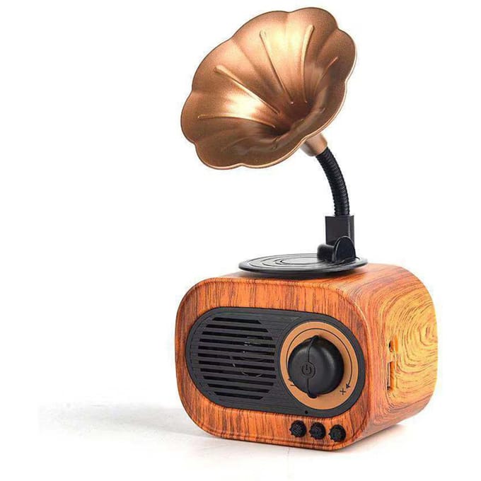 Haut-parleur de musique rétro, haut-parleur sans fil BT Vintage, haut-parleur d'extérieur Portable écorce tannante