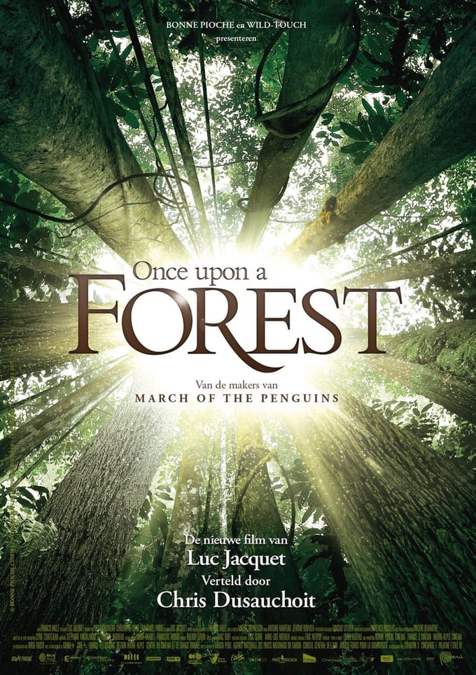 Once upon a forest (Vlaamse versie) (DVD)