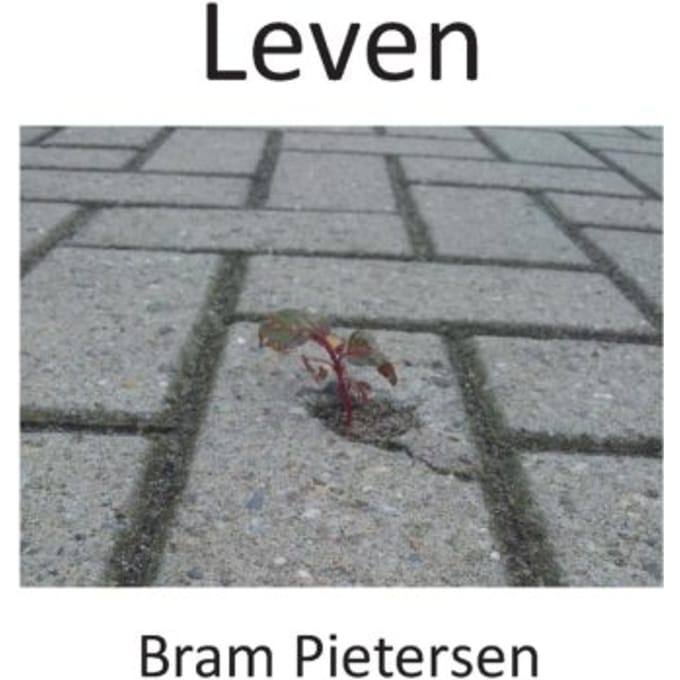 Leven - Bram Pietersen