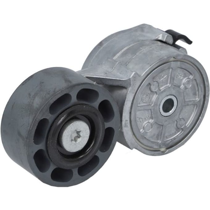 V-riemspanner DAYCO APV2564