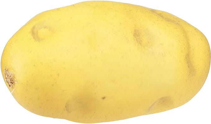 Aardappel kunstvoerdummy 12cm