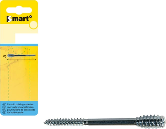 SMART | Afstandschroef T-drive Ø 6,00x100 Zn | 6 st