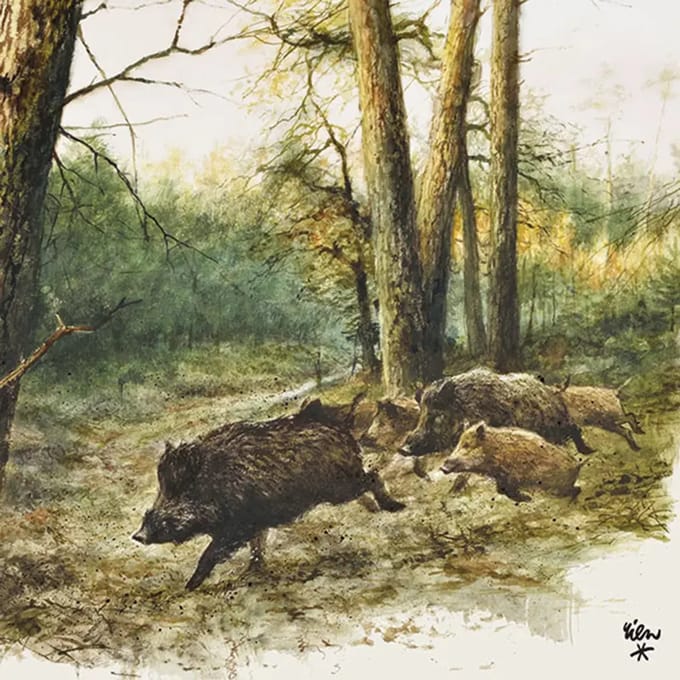 Lunch Servetten Wild Boars In The Woods - Ambiente - 33x33 cm