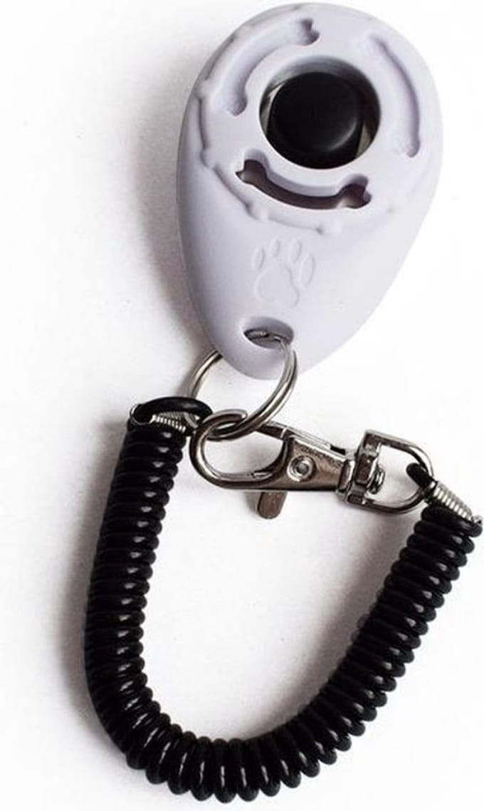 Knaak Dog Training Clicker - Hondentraining - Positieve Beloning - Met Polsbandje - Wit