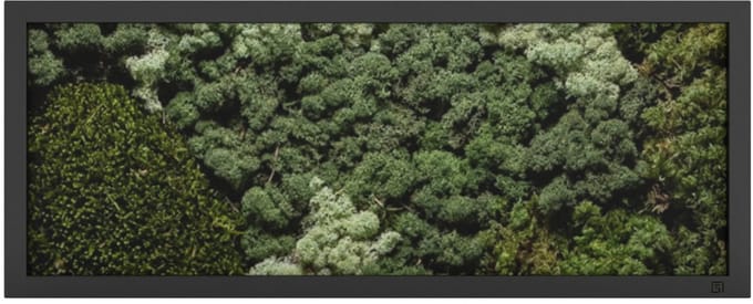 Mos Schilderij 100 x 40 cm Landscape Zwart