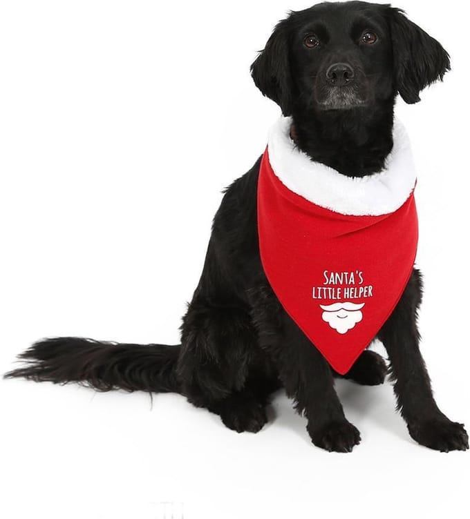 Kerst Bandana Santa's Little Helper - Dierenkleding - Rood - S
