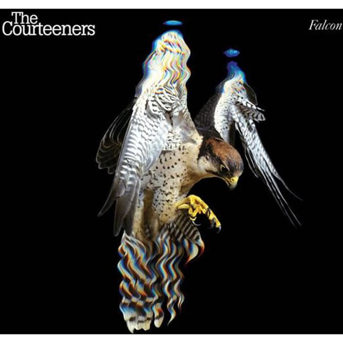 Falcon - Courteeners