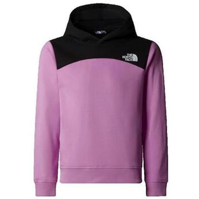 Sweaters The North Face Back Logo Relaxed P/O