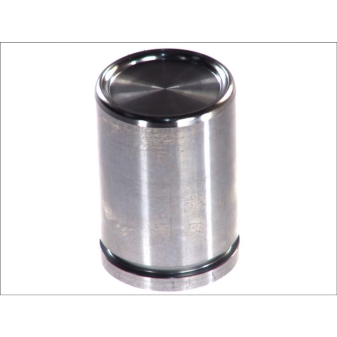 Zuiger, remklauw AUTOFREN SEINSA D02588, achter