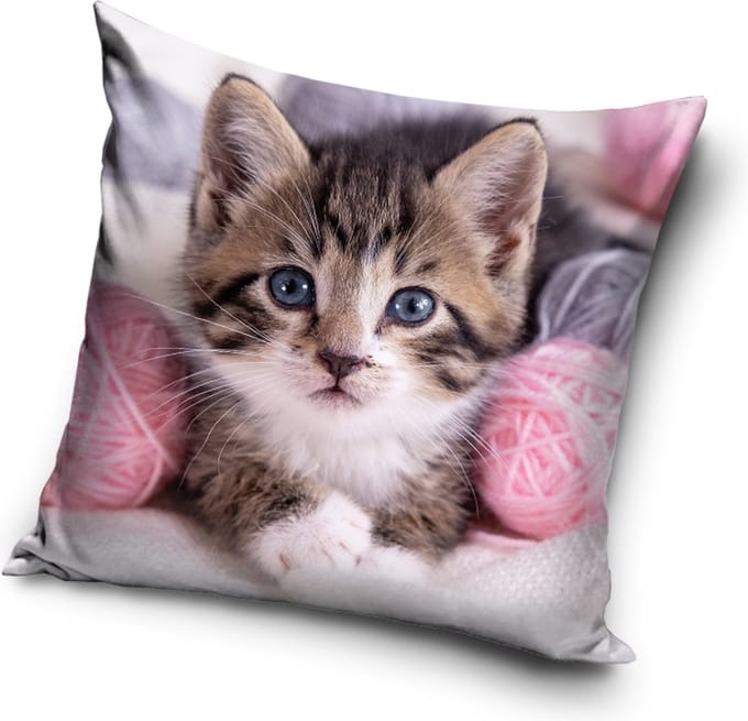 Poes Sierkussen 40x40cm Gevuld Polyester Duurzaam Kat sierkussen zacht