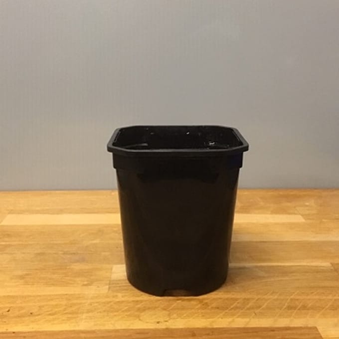 Kweekpot Zwart Vierkant/Rond 1 liter - 10,5cm (10 stuks)