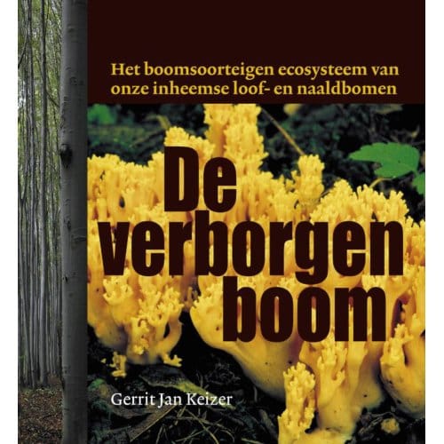De Verborgen Boom - Gerrit Jan Keizer