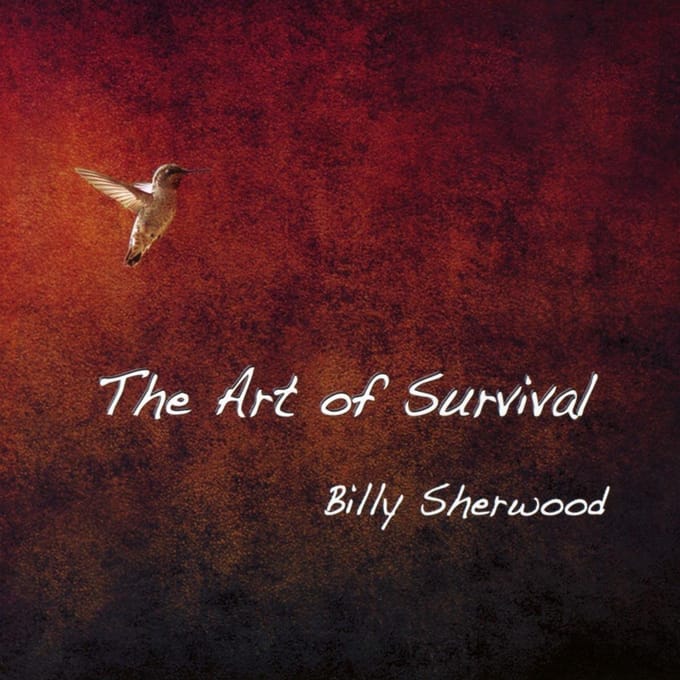 The Art Of Survival