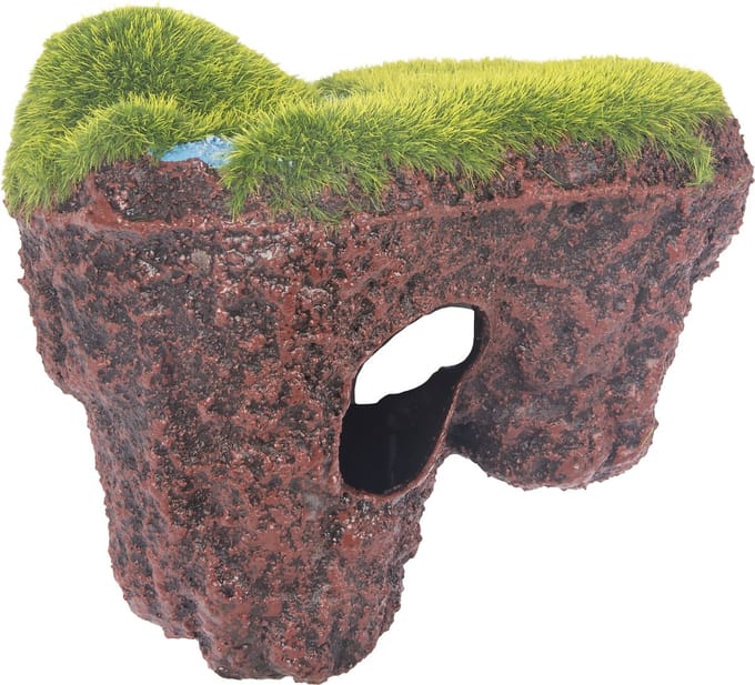 Flamingo Krag - Decoratie Vis - Ad Rots Krag Bruin S 13x8,5x12cm - 1st - 130239 - 1st